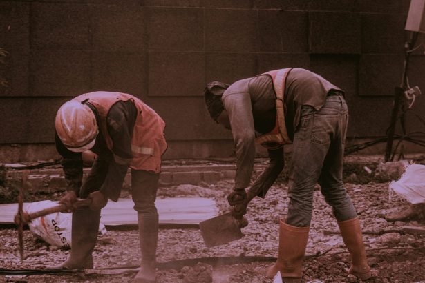 The Deportation Labor Shock – Econlib