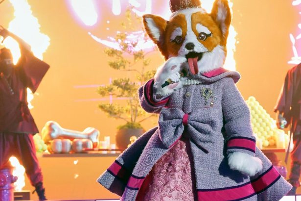 The Masked Singer Season 14 Episode 4 Recap: Queen Corgi Revealed