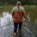 The Miccosukee Tribe blocked Alligator Alcatraz. Then Trump blocked a bill to return their land.