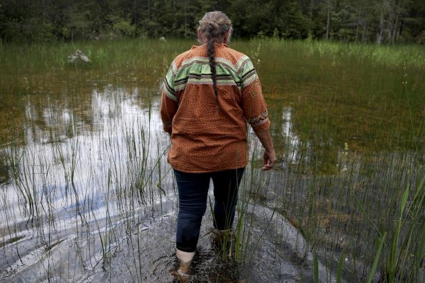 The Miccosukee Tribe blocked Alligator Alcatraz. Then Trump blocked a bill to return their land.