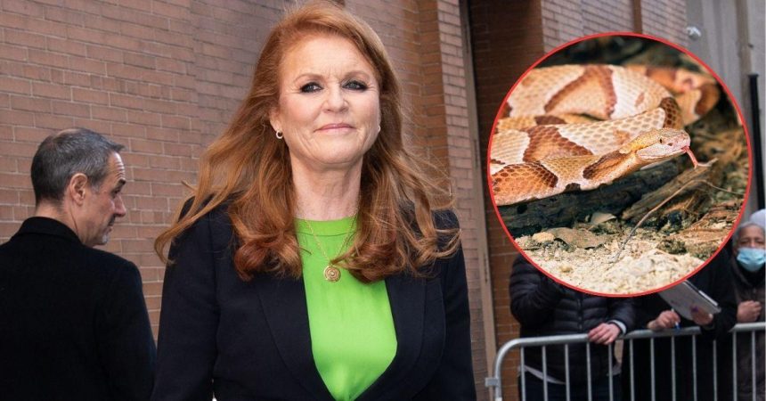 The ‘Petrifying’ Reason Sarah Ferguson Wants to Dodge Move to Australia