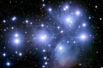 The Pleiades Star Cluster Has a Secret Stellar Family