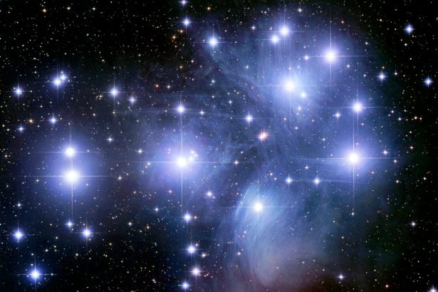 The Pleiades Star Cluster Has a Secret Stellar Family