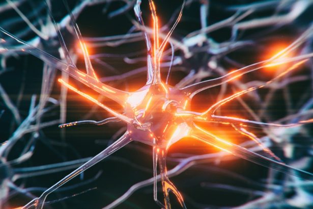 The Sad Case of The Youngest Person Ever to Be Diagnosed With Alzheimer’s : ScienceAlert