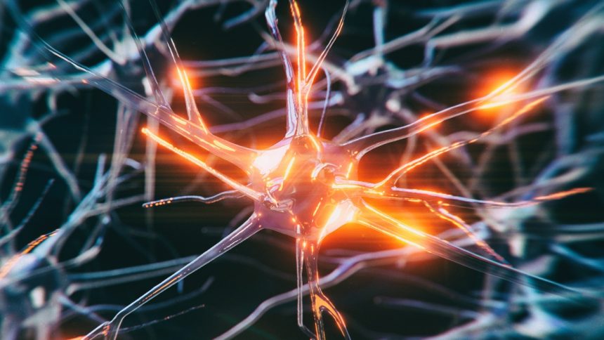 The Sad Case of The Youngest Person Ever to Be Diagnosed With Alzheimer’s : ScienceAlert