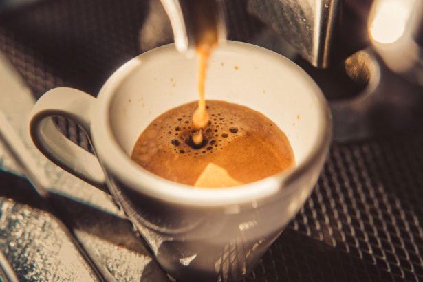 The Secret to Amazing Coffee May Lie Deep Inside Elephants : ScienceAlert