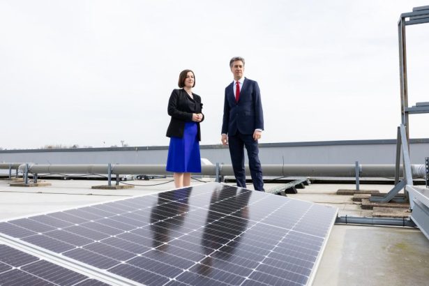 The green passion pay gap