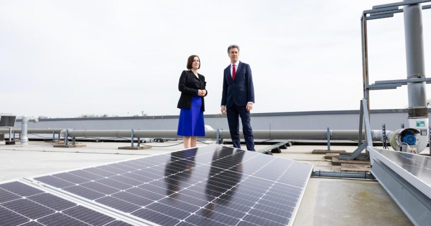 The green passion pay gap