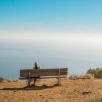 The internet feels super lonely right now. Here’s why