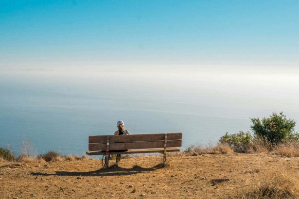 The internet feels super lonely right now. Here’s why