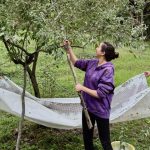 The road less travelled