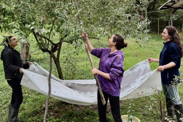 The road less travelled