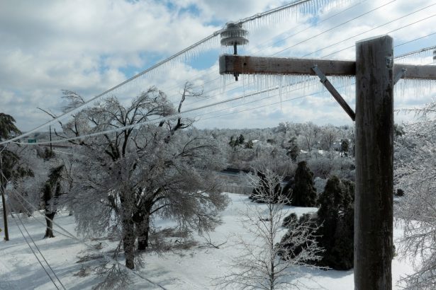 The winter storm exposed the grid’s real weakness: Lots of old poles