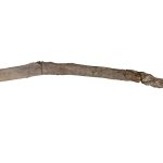 This ancient stick may be the world’s oldest handheld wooden tool
