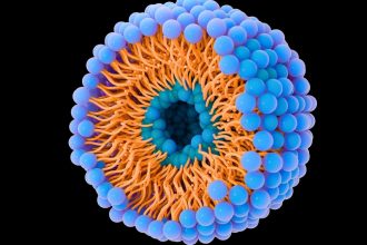 Tiny Bubbles Help Cancer Invade New Organs – And May Be Key to Stopping It : ScienceAlert