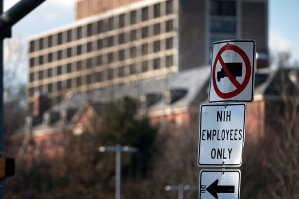 Trans health care, Neuralink, DEI grants: Morning Rounds