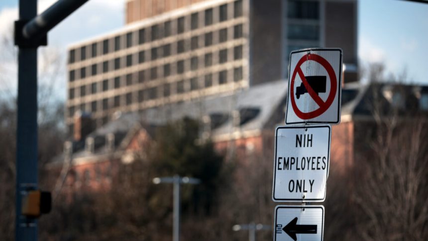 Trans health care, Neuralink, DEI grants: Morning Rounds