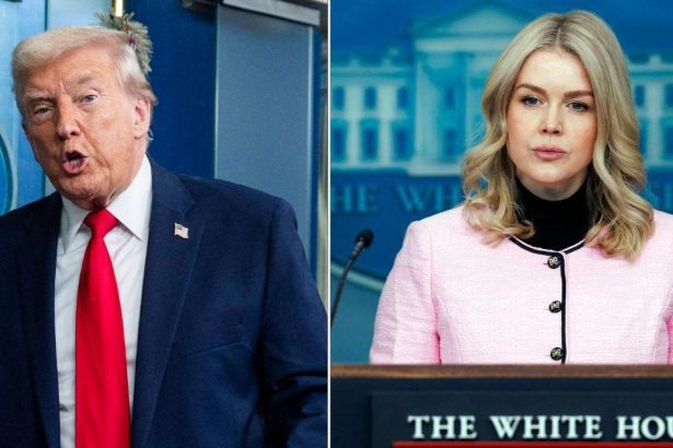 Trump Awkwardly Shades Karoline Leavitt at Her Own White House Briefing