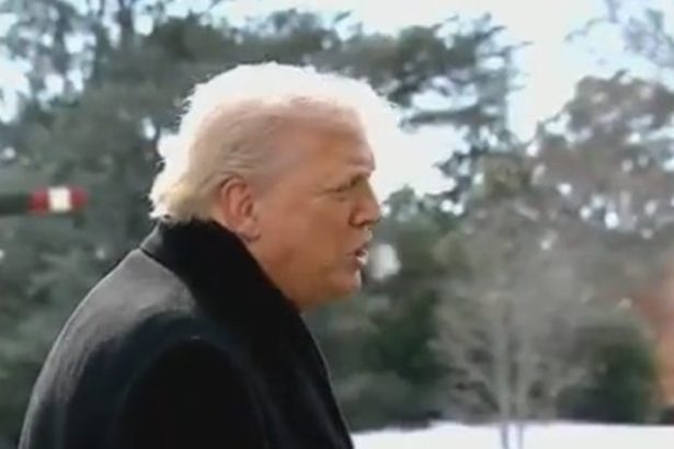 Trump Tried To Cover Up Alex Pretti’s Death And It Was A Disaster