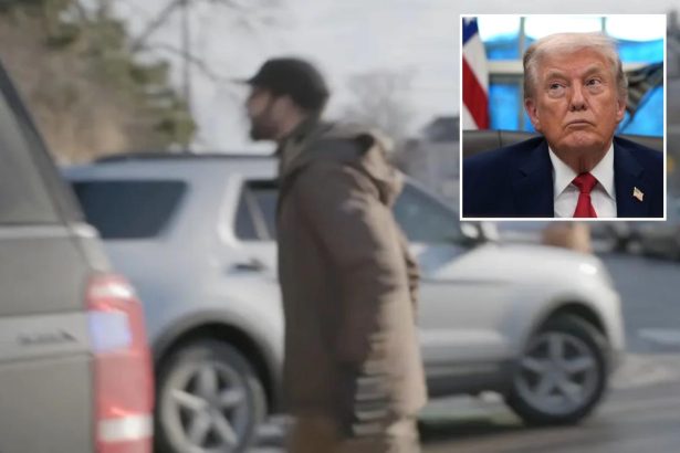 Trump calls Alex Pretti agitator with stock way down after video emerged of him spitting kicking ICE