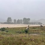 Two missing after slip in Tauranga as weather woes continue