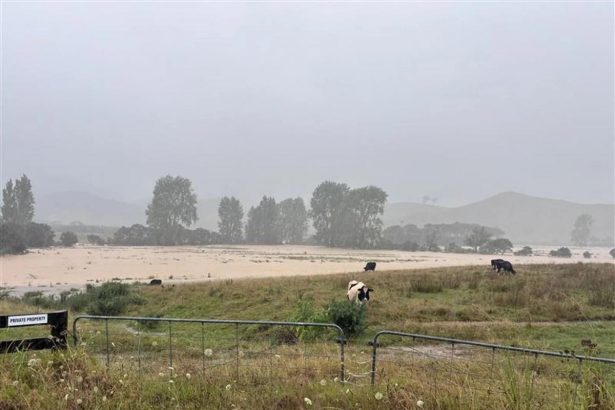 Two missing after slip in Tauranga as weather woes continue