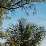 Wedding Order of Procession: How to Decide for Your Wedding Ceremony