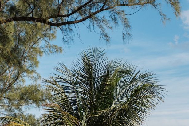 Wedding Order of Procession: How to Decide for Your Wedding Ceremony