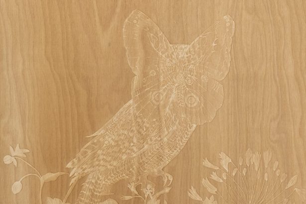 Valerie Hammond’s ‘Waking Dreams’ Explores Surreal Visions of Nature at the Cusp of Sleep — Colossal