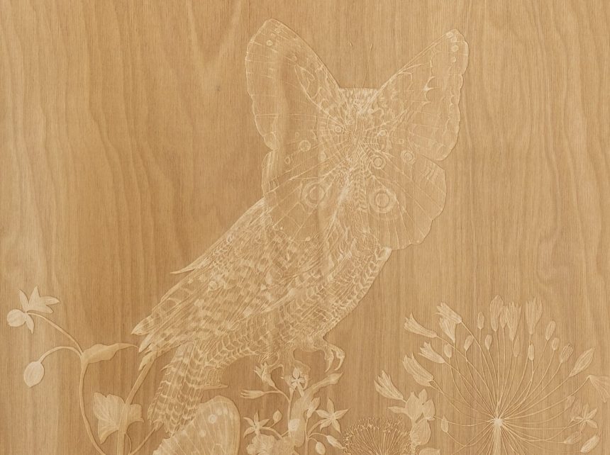 Valerie Hammond’s ‘Waking Dreams’ Explores Surreal Visions of Nature at the Cusp of Sleep — Colossal