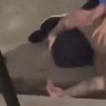 Video shows beating and shooting in possibly gang-related West Loop attack