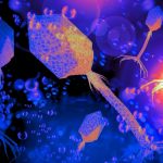 Viruses Play a Critical Role in The Ocean’s Food Web, Study Finds : ScienceAlert