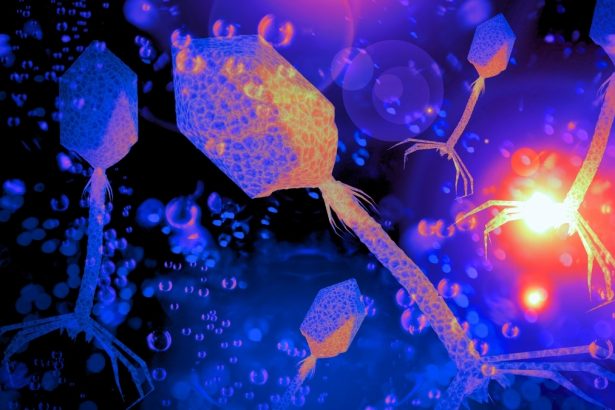 Viruses Play a Critical Role in The Ocean’s Food Web, Study Finds : ScienceAlert