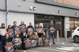 Warm words won’t free hens