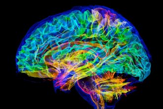 We’re about to simulate a human brain on a supercomputer