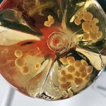 We’re getting closer to growing a brain in a lab dish