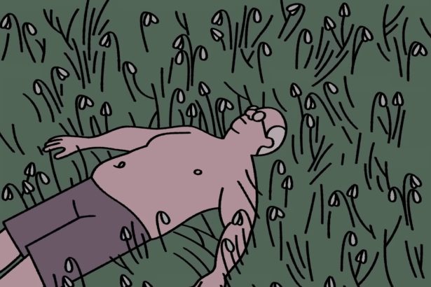 What Will Retirement Bring? An Animated Film for Those Dreaming of Work-Free Days — Colossal