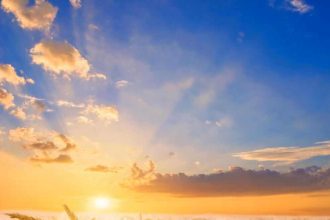 Wheat Falls Lower on Thursday