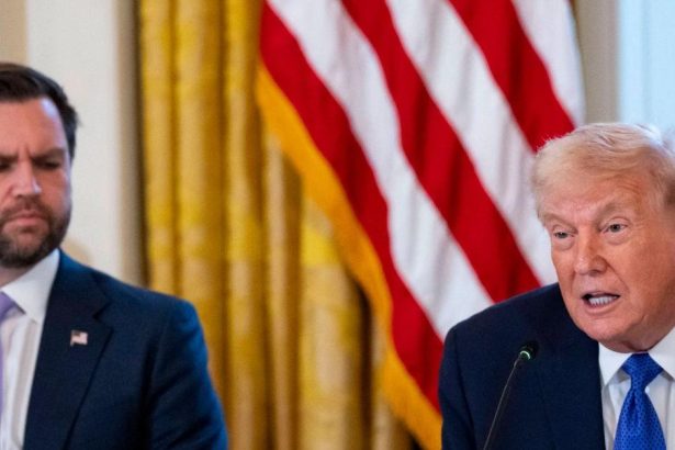 White House Shuts Down Rumors Trump and Vance Are Locked in Feud