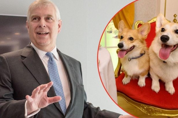 Why Corgis And Horses Are Central To Andrew Windsor’s Divorce Deal