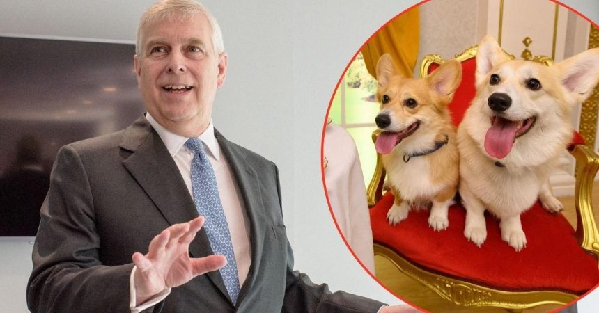 Why Corgis And Horses Are Central To Andrew Windsor’s Divorce Deal