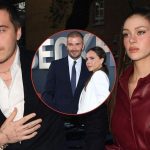 Why David & Victoria Beckham Couldn’t Stand Nicola Peltz For Years