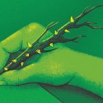 Why connecting with nature shouldn’t mean disconnecting from science