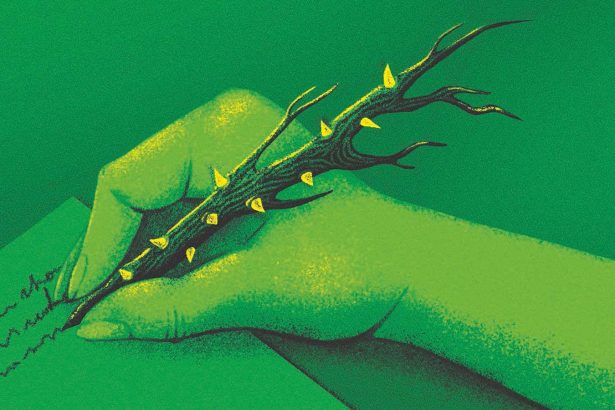 Why connecting with nature shouldn’t mean disconnecting from science