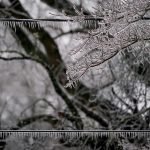 Why freezing rain can be so much more dangerous than snow