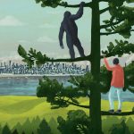 Why non-human culture should change how we see nature