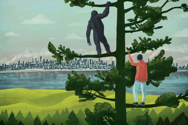 Why non-human culture should change how we see nature