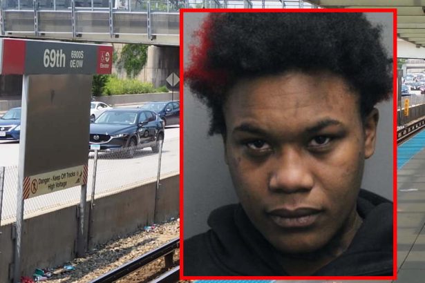 Woman on probation for Red Line robbery charged with attempted murder in CTA stabbing