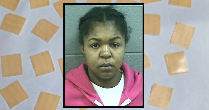 Woman smuggled opioid-laced paper in baby’s diaper during Cook County Jail visit, officials say