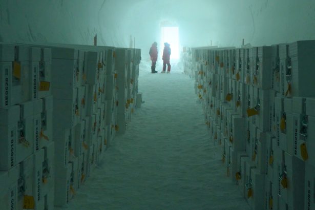 World-First Ice Vault Is Preserving Earth’s Climate History : ScienceAlert